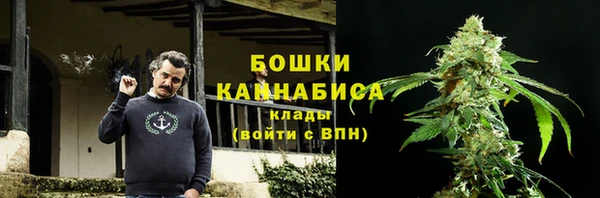 амф Медногорск