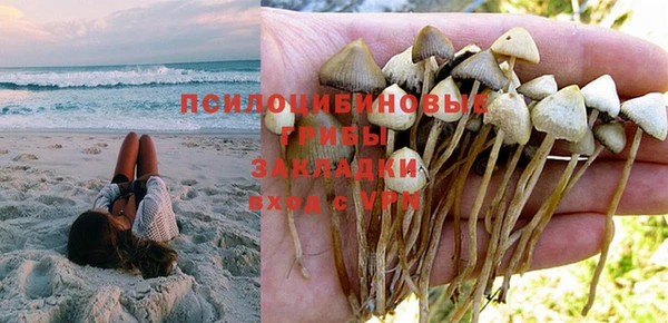 гидропоника Медвежьегорск