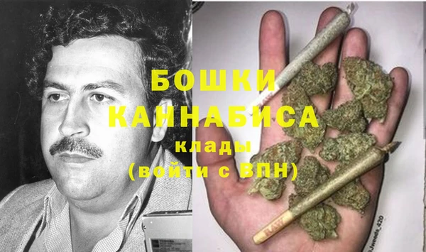 сатива Мегион