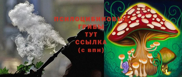 амф Медногорск