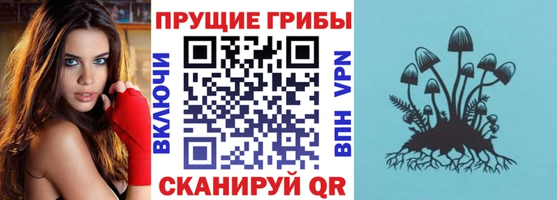 блэк спрут онион  Краснозаводск  Галлюциногенные грибы мицелий 