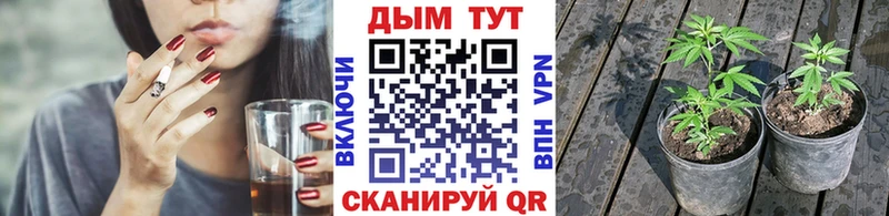 Марихуана Ganja Краснозаводск